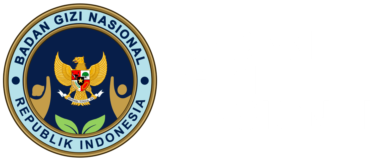 Badan Gizi Nasional